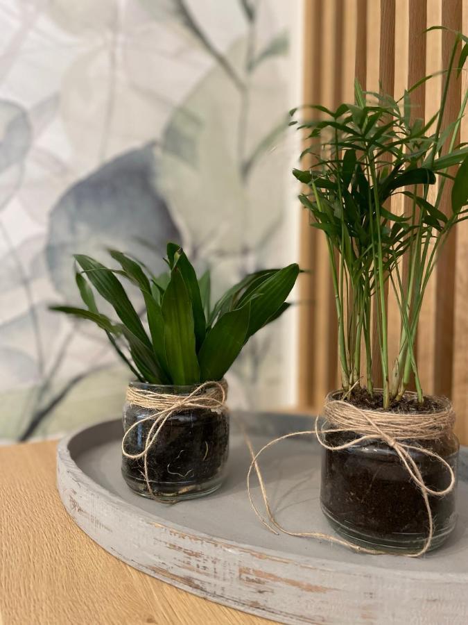 Botanic Nest Panoramic Studio Бухарест Экстерьер фото